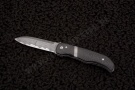 Eagle rock flipper damascus